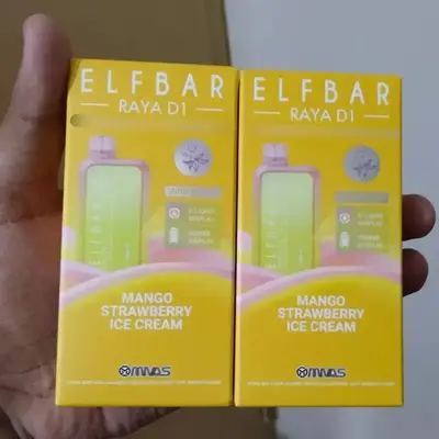Elfbar RAYA D1 13K puffs